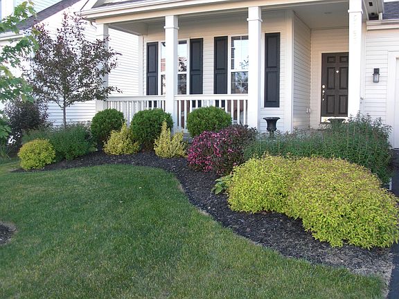 4th image of 5893 Painted Leaf Dr
