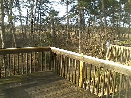 Rear Deck