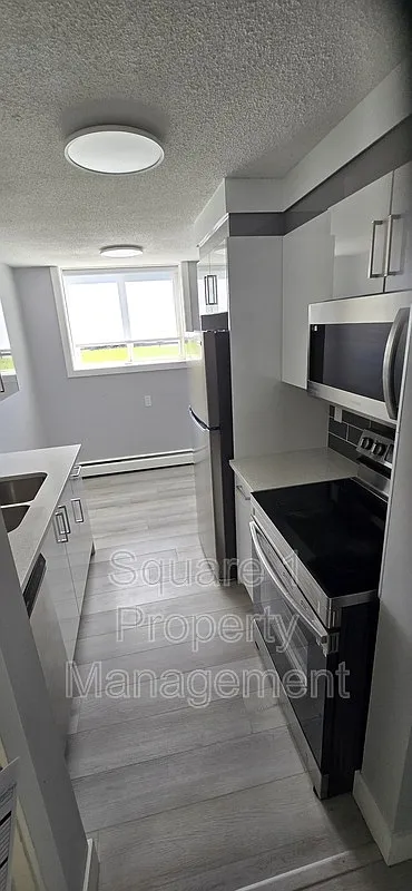 2 bed, 1.0 bath, $1,700 — Photo 1