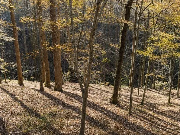 0 Lake View Dr Lot 16, Smithville, TN 37166