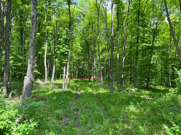 Rosetti Rd, Iron River, MI 49935