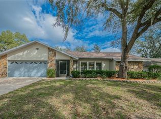 1004 Riflecrest Ave, Valrico, FL 33594