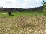 4th image of Palmer Rd