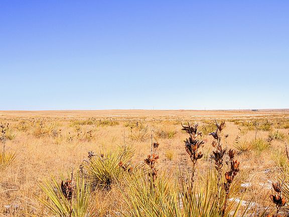 3rd image of 45560 Valdonna Cir Lot 12