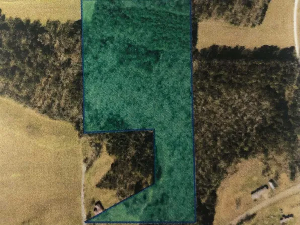 County Road 239, Centre, AL 35960