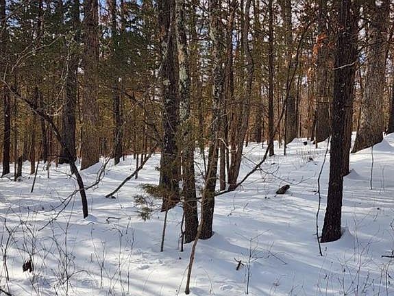 5th image of 0 Rue Charlotte