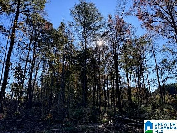 3rd image of 1320 County Road 253 #68.9