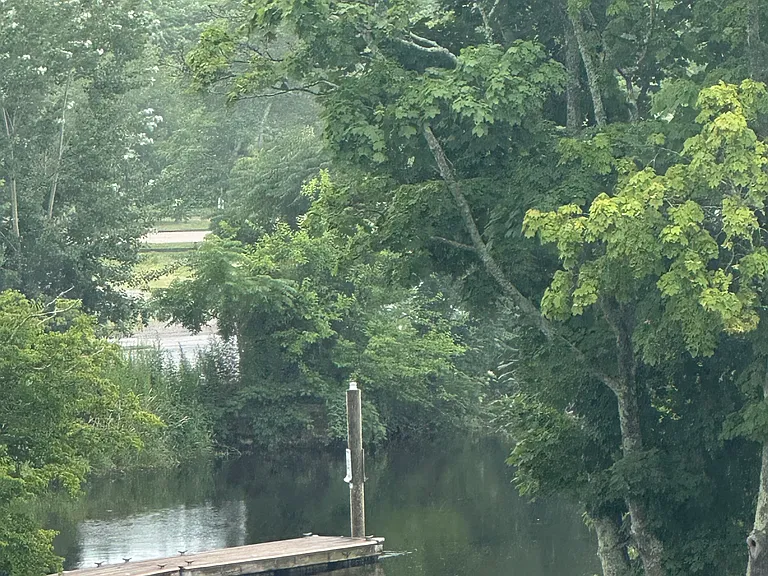 View of river