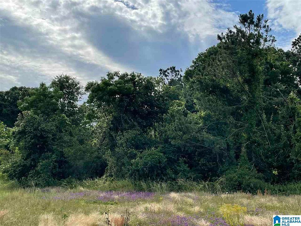 2nd image of 2475 County Road 97 #1
