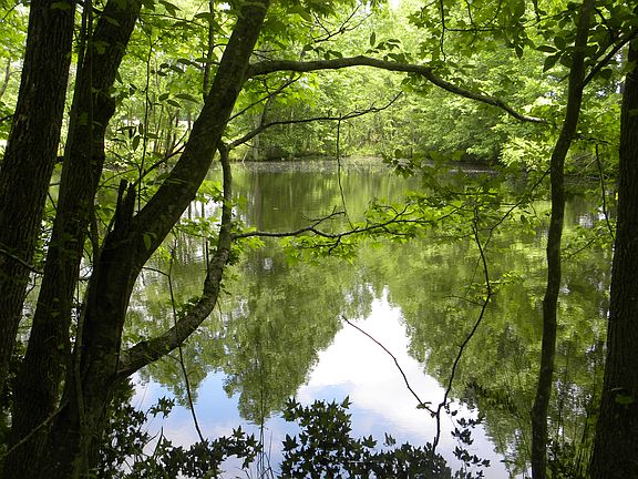 5th image of Lot 14 Six Ponds Ln #14