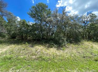 369 S Highview Ave, Lecanto, FL 34461