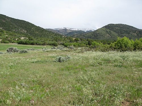 Property is over 16 Acres