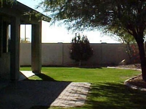 Raven Circle Back Yard
