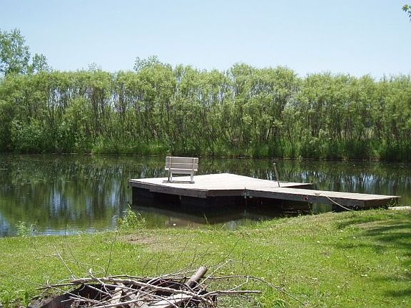 Spring fed pond full of fish.