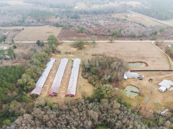 1208 Alex Brown Rd, Bonifay, FL 32425