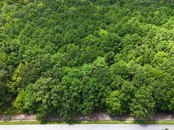Boat Ramp Rd Lot 3, New Hope, NC 27944