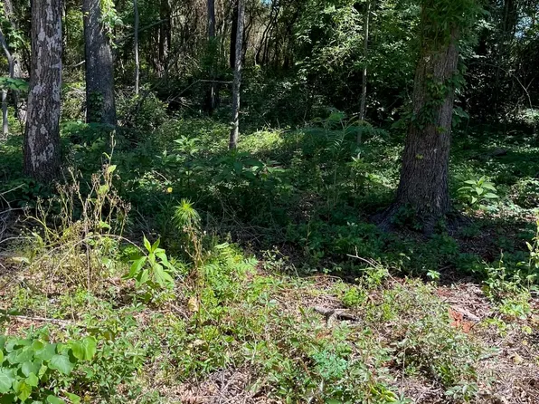 Fm 1801, Mineola, TX 75773