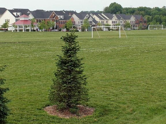 Community