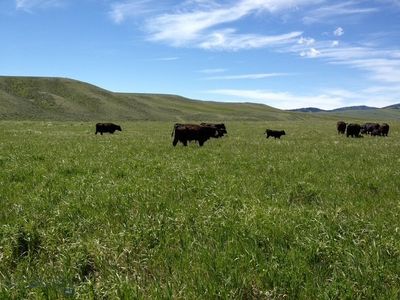 110 Schendel Rd, White Sulphur Springs, MT, 59645