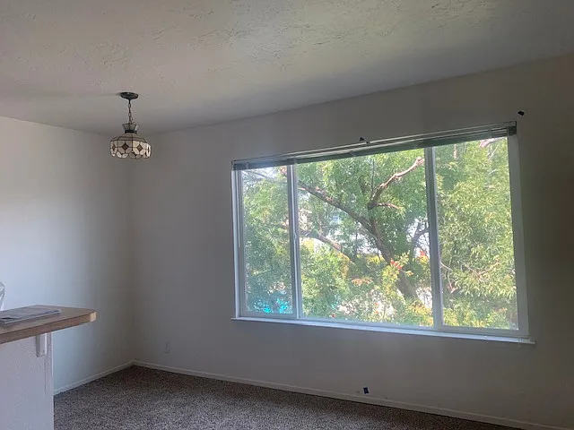 911 Jamieson Ct #3 — Photo 4