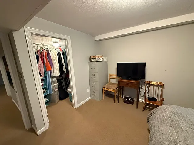 basement bedroom #1 with walk in closet
