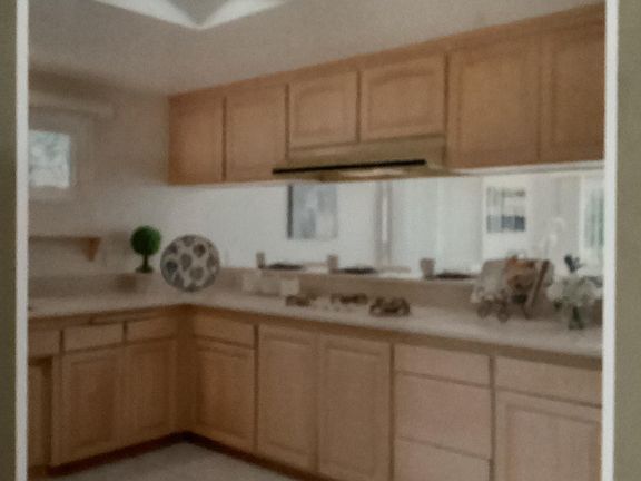 3rd image of 28202 Ambergate Dr