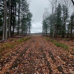 40 / Acres Off, Marquette, MI, 49855