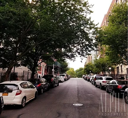 Rented by Alpha Properties NYC I LLC | media 26