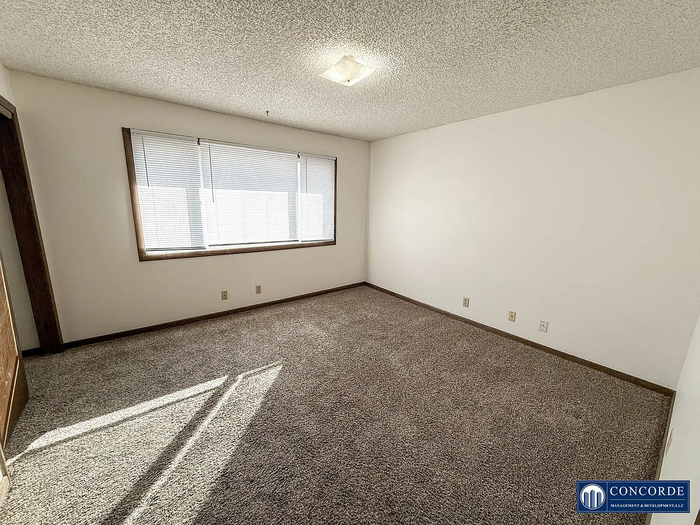 1641 Sumner St — Photo 4