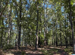 0 County Road 701 #5.5, Roanoke, AL 36274