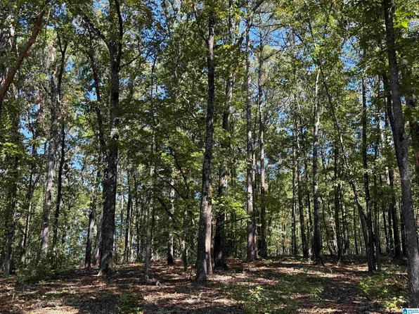 0 County Road 701 #5.5, Roanoke, AL 36274