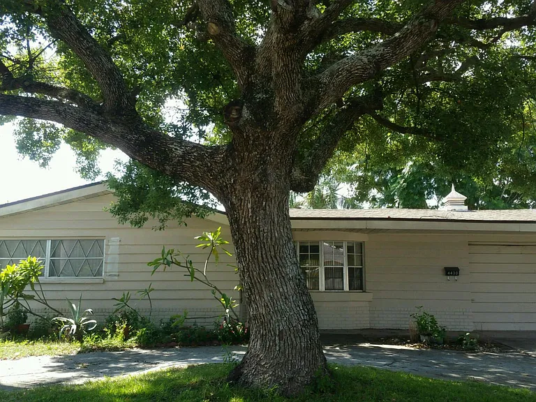 4430 Glissade Dr — Photo 1