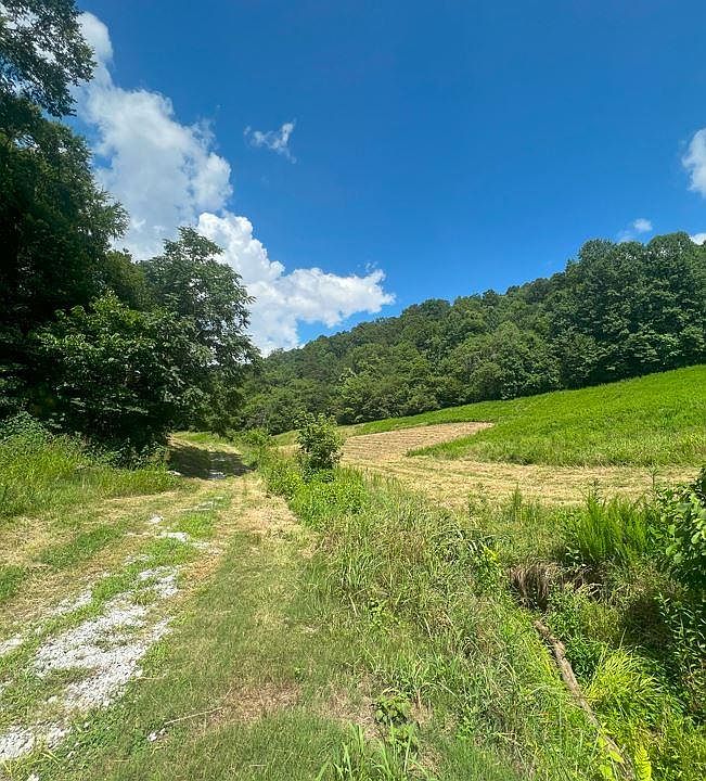 1st image of 0 Massey Hollow Ln