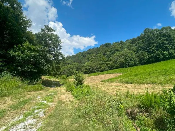 0 Massey Hollow Ln, Pleasant Shade, TN 37145