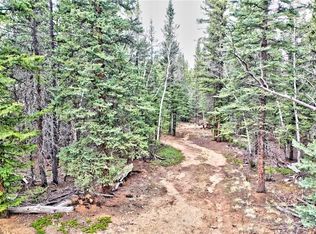 56 Bear Ln, Como, CO 80432