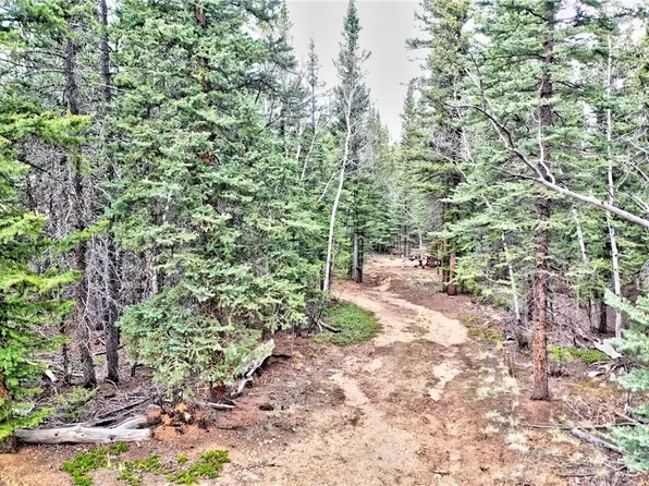 56 Bear Way, Como, CO 80432