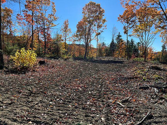 3rd image of 0 Dyke Mountain Road
