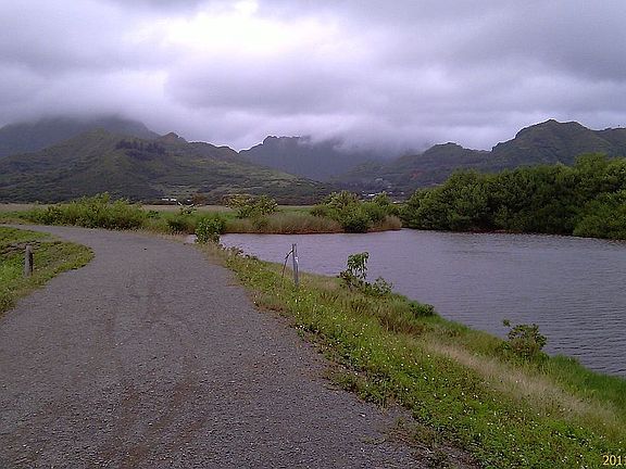 Kawainui Marsh. Hikers and Bikers  have fun.