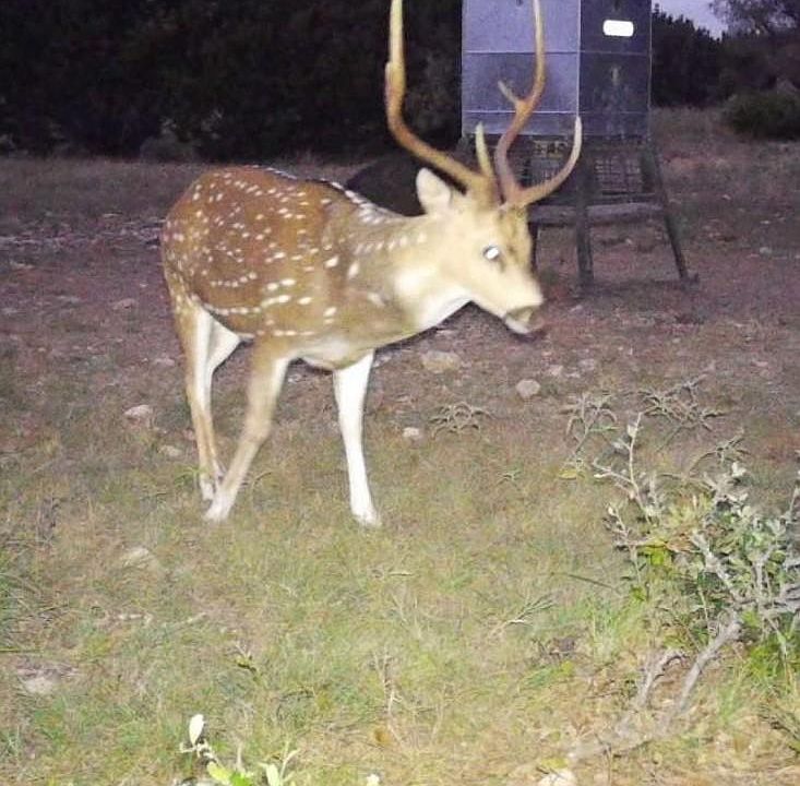 1st image of 0 Other