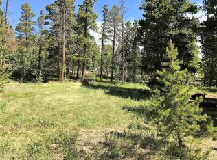 119 Timber Dr, Black Hawk, CO 80422