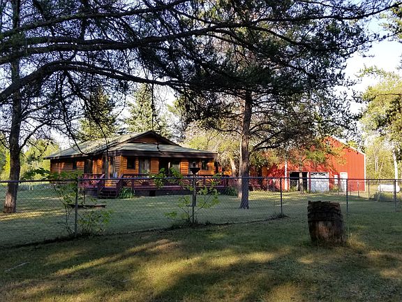 SW yard - grapes, well