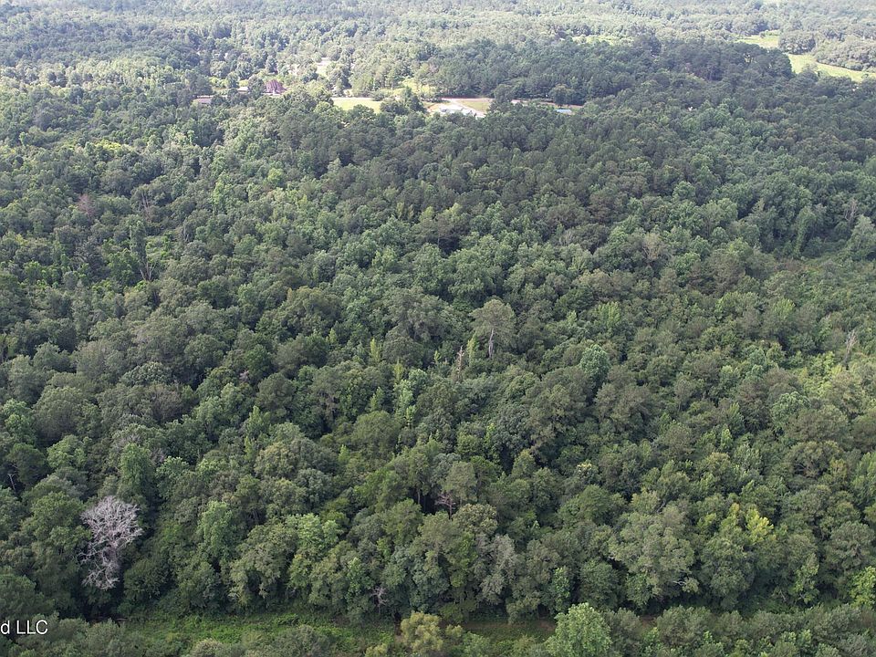 1st image of Jones Chapel Rd