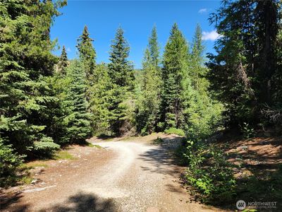 0 XX East Fork Cougar Creek Road, Wauconda, WA, 98859