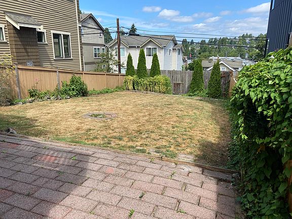 Back yard