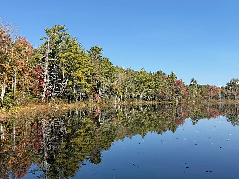 Anglers Point — Photo 15