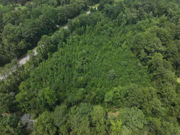 0 Bear Creek Rd, Sterrett, AL 35147