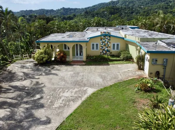 Carr 106 Km 21.5 Bo Rio Arriba, Anasco, PR 00610