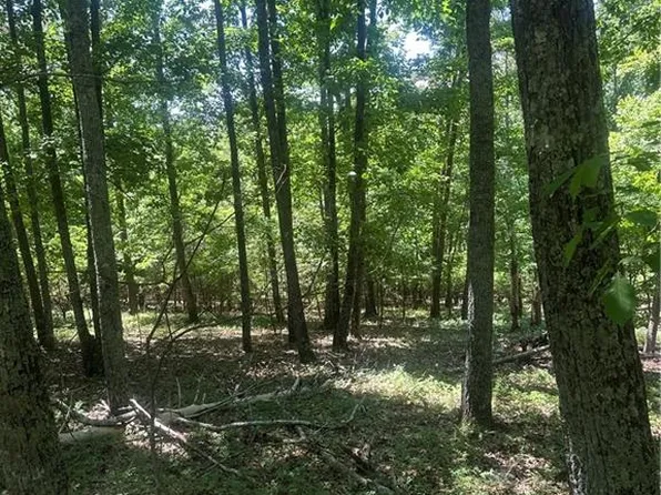 0 Owl Ridge Way #252, Jasper, GA 30143