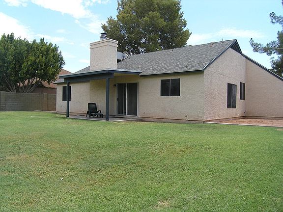 Back view