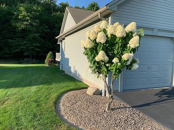 left sideview and garden